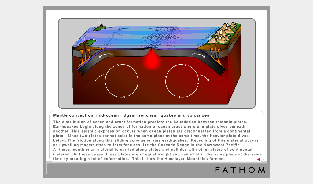 Fathom Knowledge Network