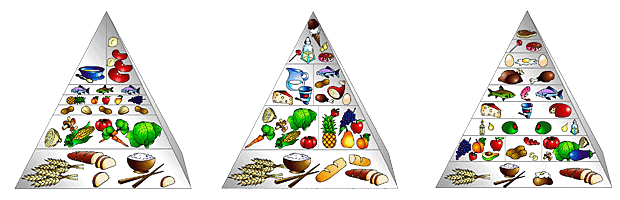 Interactive Food Pyramid